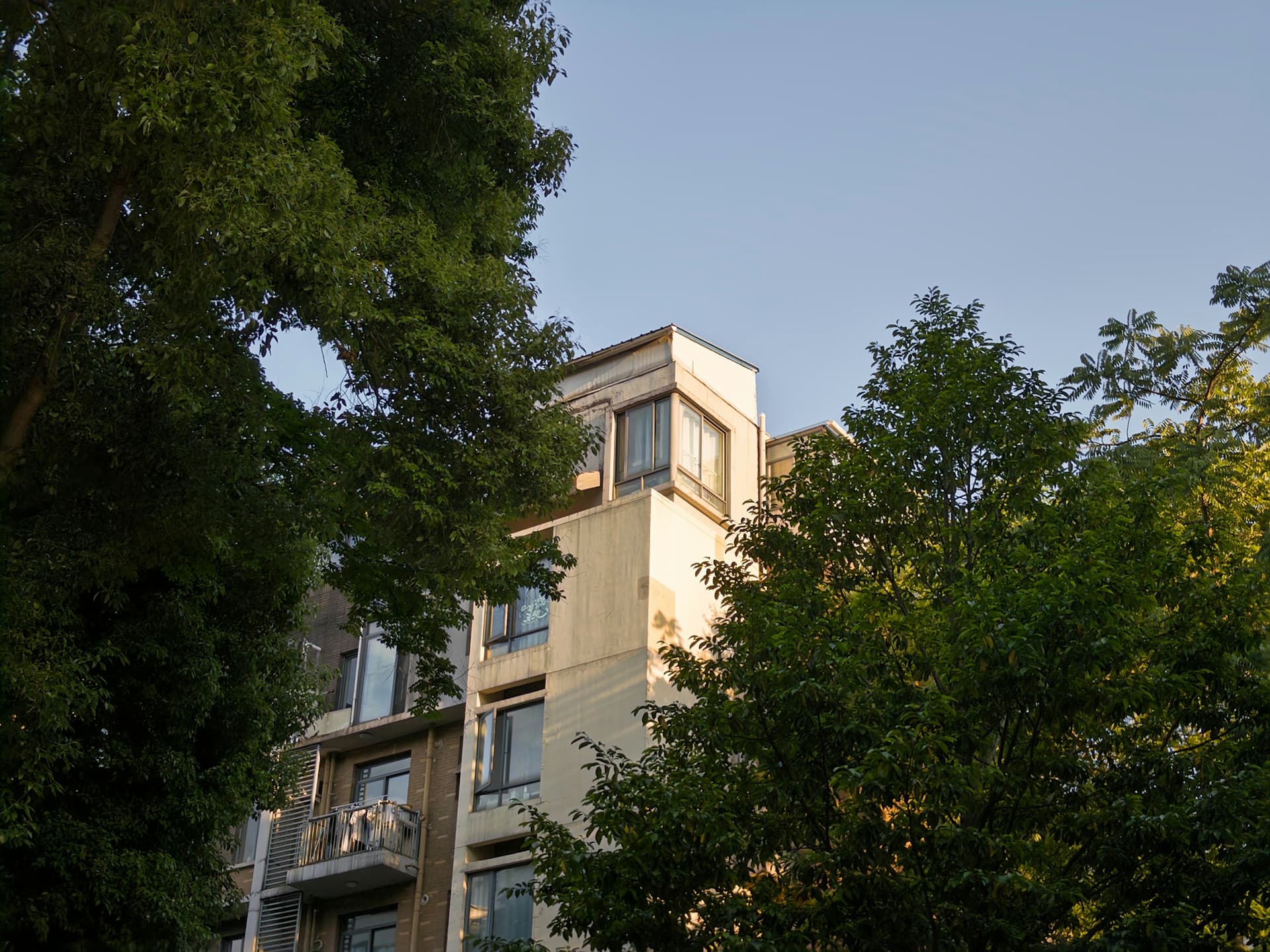 A modern strata building framed by West Coast trees in golden light
